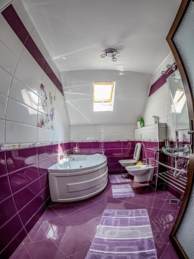 הוילה Pojorîta Casa Iulia מראה חיצוני תמונה