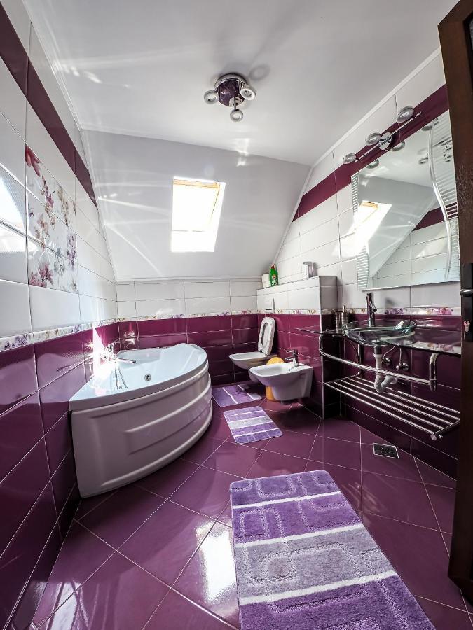 הוילה Pojorîta Casa Iulia מראה חיצוני תמונה